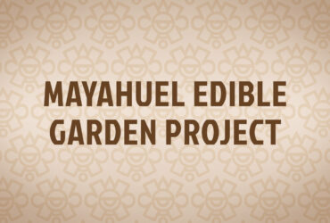 Mayahuel Edible Garden Project