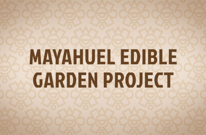 Mayahuel Edible Garden Project