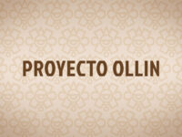 Proyecto Ollin
