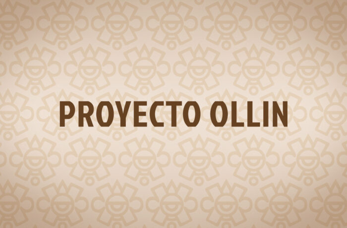 Proyecto Ollin