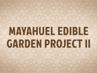 Mayahuel Edible Garden Project II