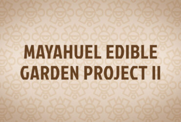 Mayahuel Edible Garden Project II
