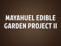 Mayahuel Edible Garden Project II