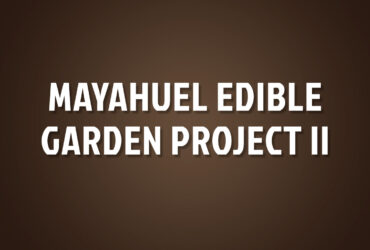 Mayahuel Edible Garden Project II