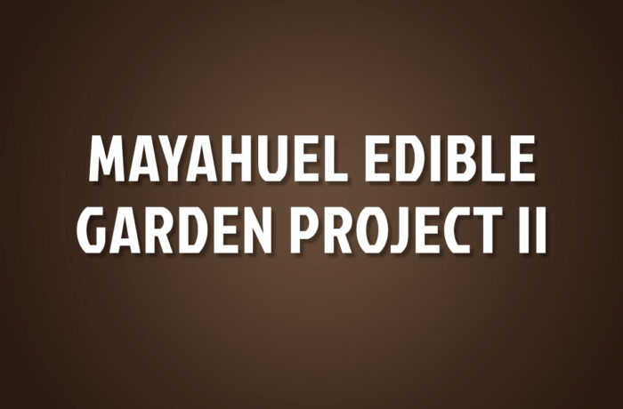 Mayahuel Edible Garden Project II