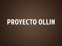 Proyecto Ollin