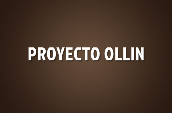 Proyecto Ollin