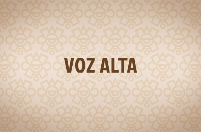 Voz Alta