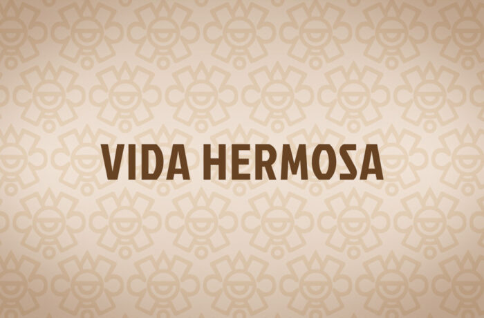 Vida Hermosa