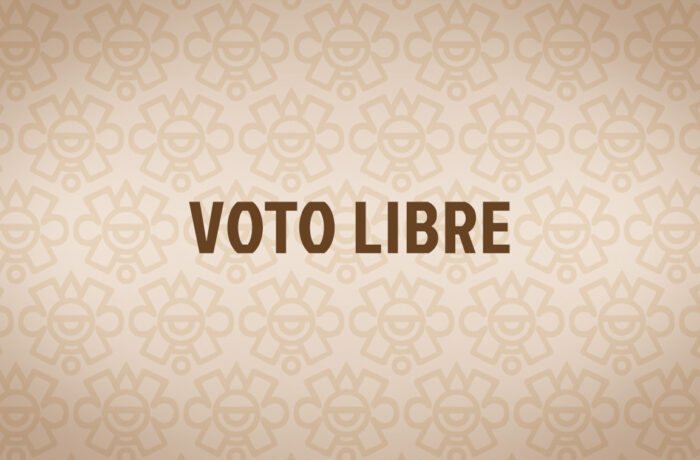 Voto Libre